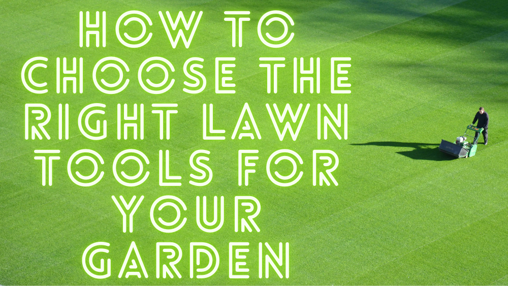 How to Choose the Right Lawn Tools for Your Garden