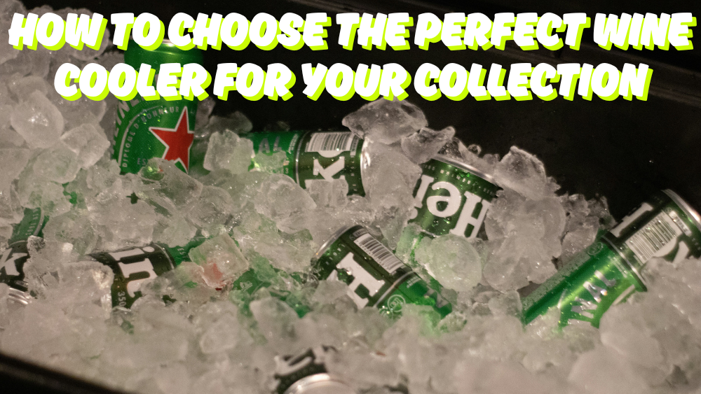 How to Choose the Perfect Wine Cooler for Your Collection