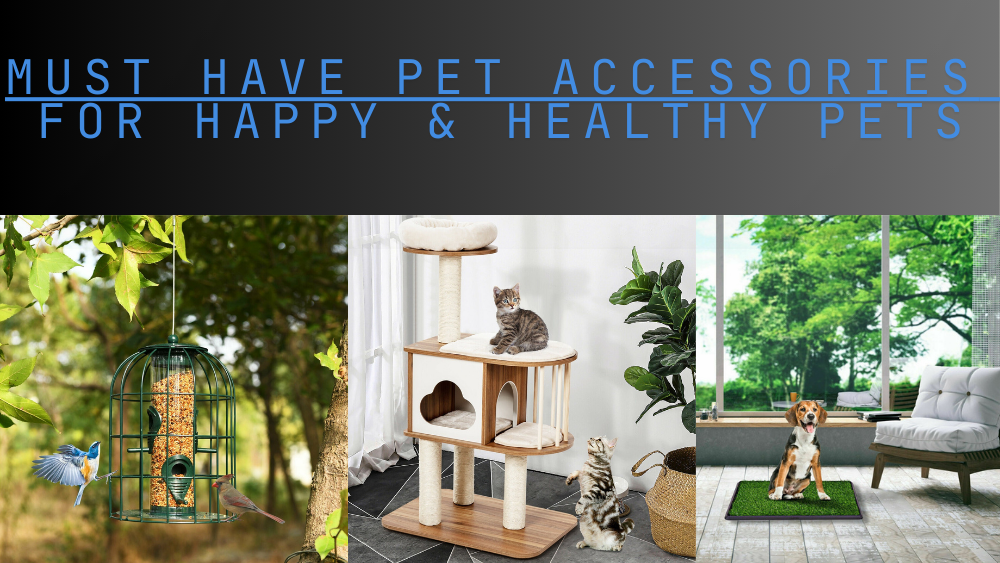 Must Have Pet Accessories for Happy & Healthy Pets