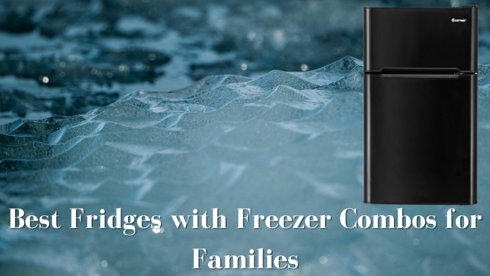 Best Fridges with Freezer Combos for Families