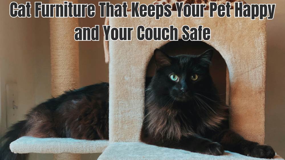 Cat Furniture That Keeps Your Pet Happy and Your Couch Safe