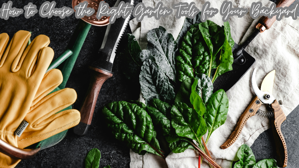 How to Choose the Right Garden Tools for Your Backyard