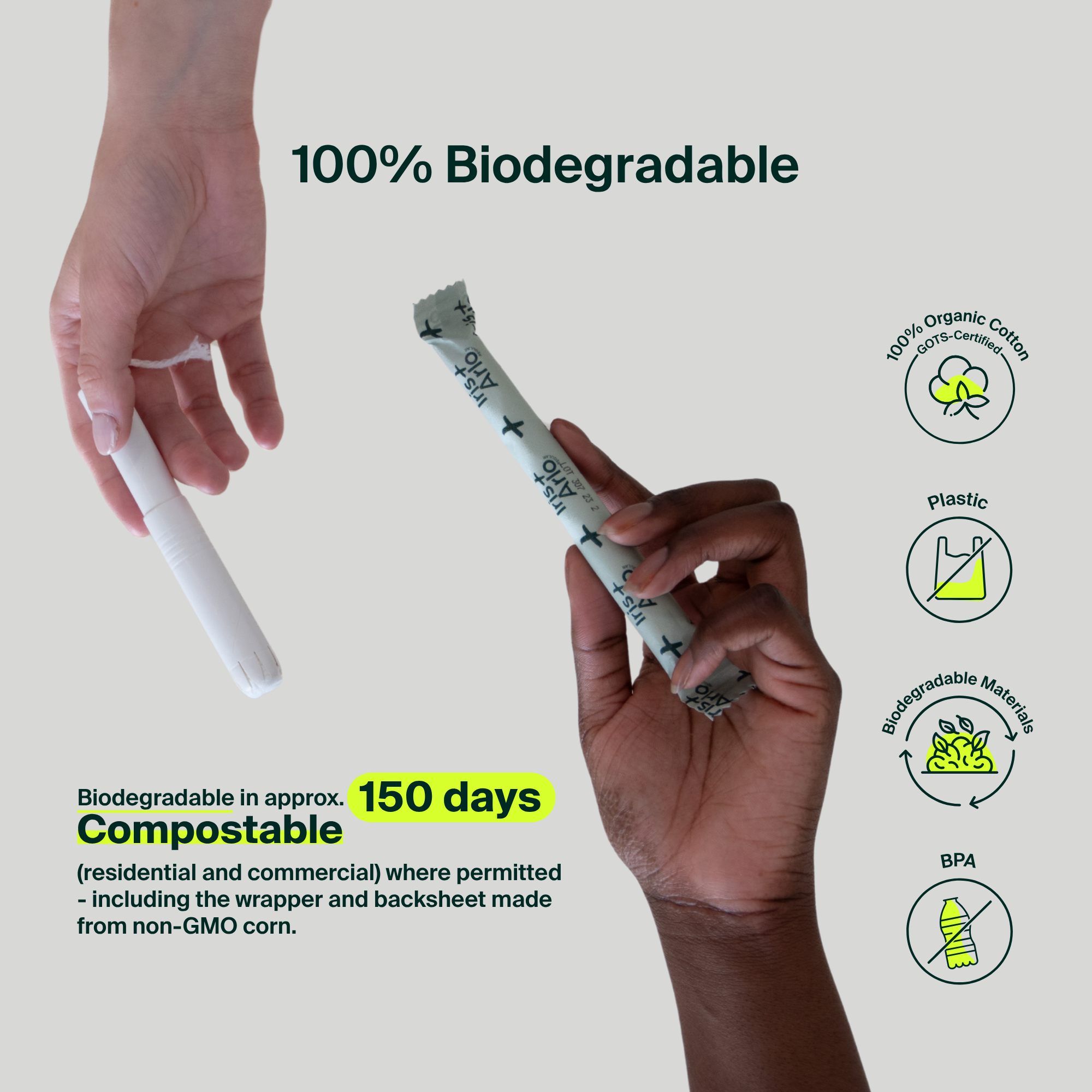 Applicator Tampons, Cardboard Applicator, regular - Bulk (240)