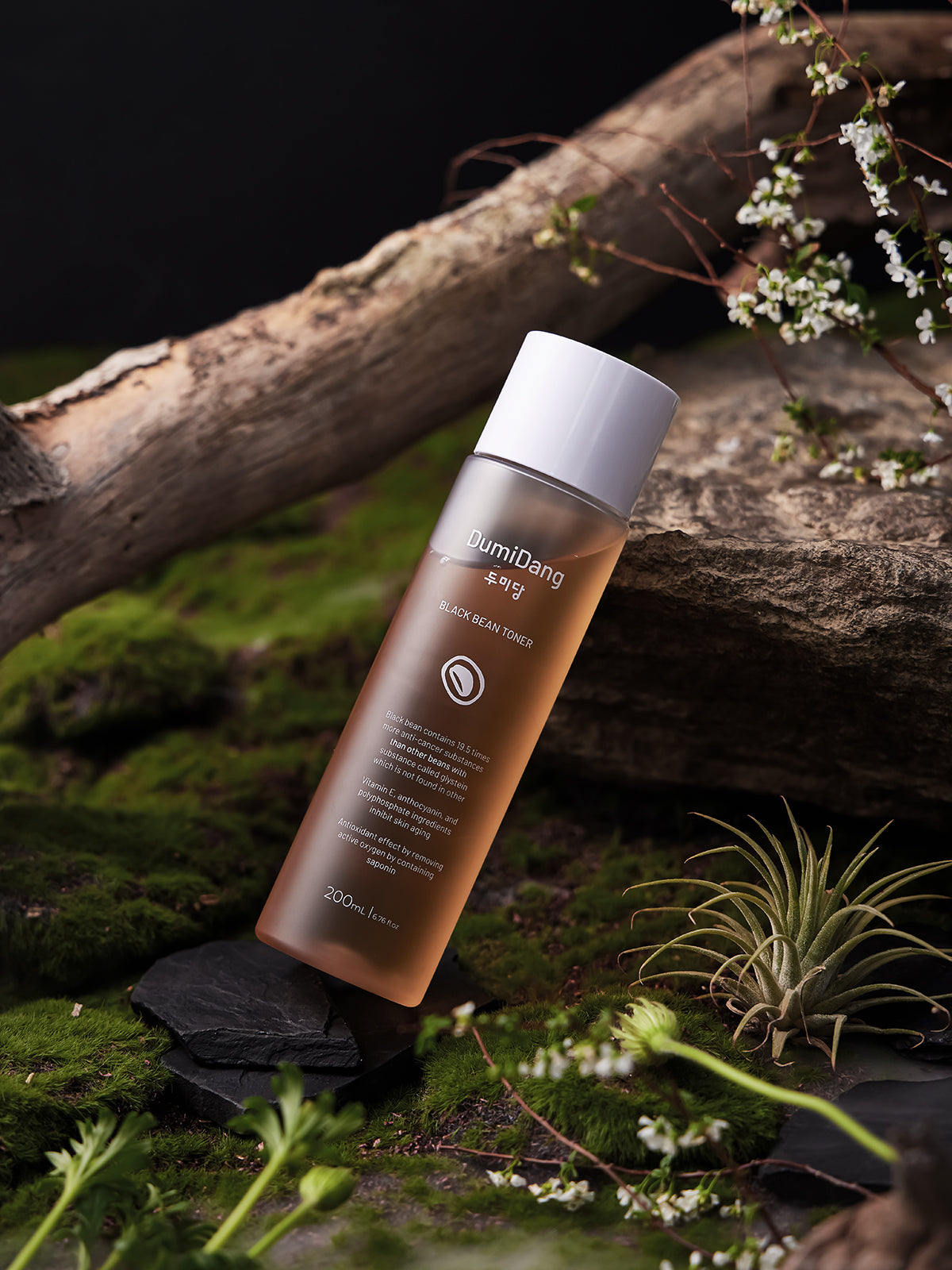 DumiDang Black Bean Essence Toner (200mL) | Elasticity-Boosting & Hydrating Toner