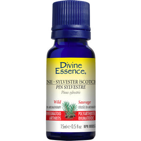 Divine Essence - Pine Sylvestre (Scotch) (Wild) (15ml 6)