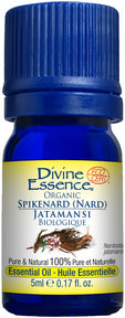 Divine Essence - Spikenard (Nard) (Organic) (5ml 6)