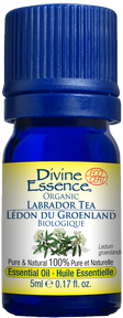 Divine Essence - Labrador Tea Organic (5ml 6)