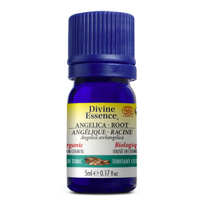 Divine Essence - Angelica - Root (Organic) (5ml 6)