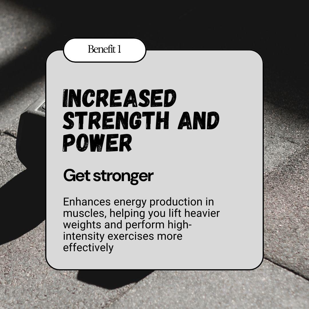 Wholesale BulkBully Creatine Gummies – Strawberry, 30 Servings, Workout Performance Support