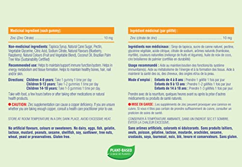 Allkidz - Zinc Gummies, 90s