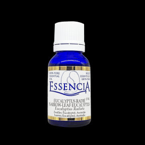 Essencia - Essential oil Eucalyptus Radiata (15ml 12)