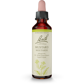 Bach Original Flower Essence – Mustard 20 ml