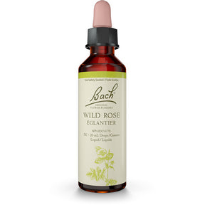 Bach Wild Rose Flower Essence – Acceptance & Joy 20 ml