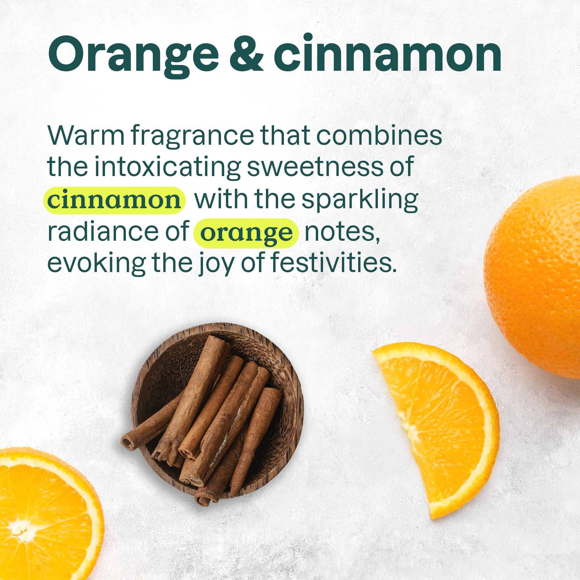 Attitude - Hand Soap - Orange Cinnamon (473ml 6)