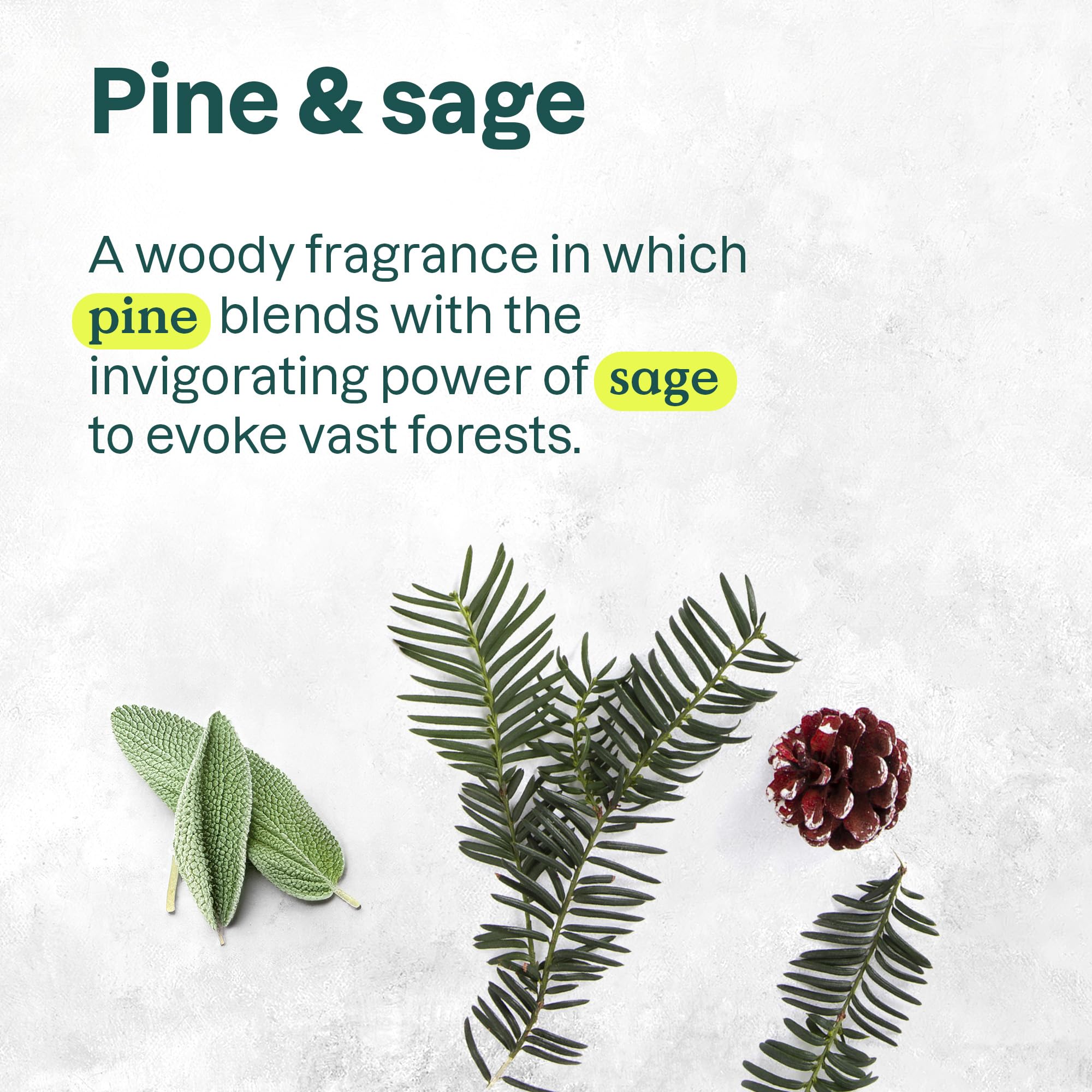 Attitude - Hand Soap - Pine & Sage (473ml 6)