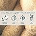 Forage Hyperfoods - Reishi Tincture - Original (118ml 24)