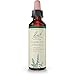 Bach Original Flower Essence Agrimony 20 ml (130)
