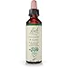 Bach Original Flower Essence – Centaury 20 ml