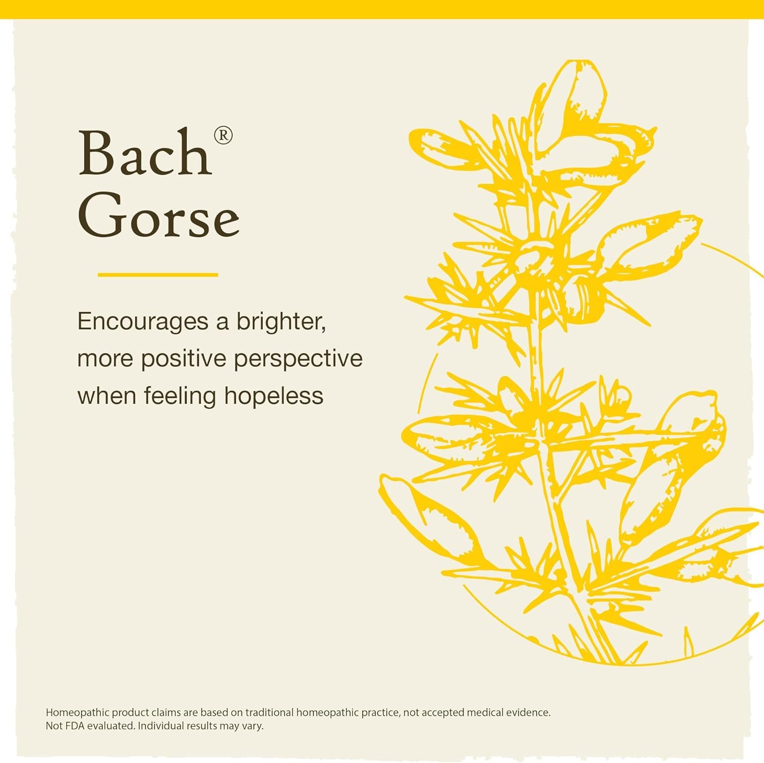 Bach Original Flower Essence Emotional Wellness Botanical Essence 20 ml