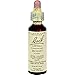 Bach Original Flower Essence – Holly 20 ml