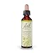 Bach Original Flower Essence Clematis 20 ml