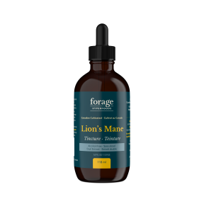 Forage Hyperfoods - Lion's Mane Tincture - Alcohol Free (118ml 24)