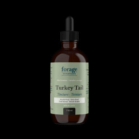 Forage Hyperfoods - Turkey Tail Tincture - Alcohol Free (118ml 24)