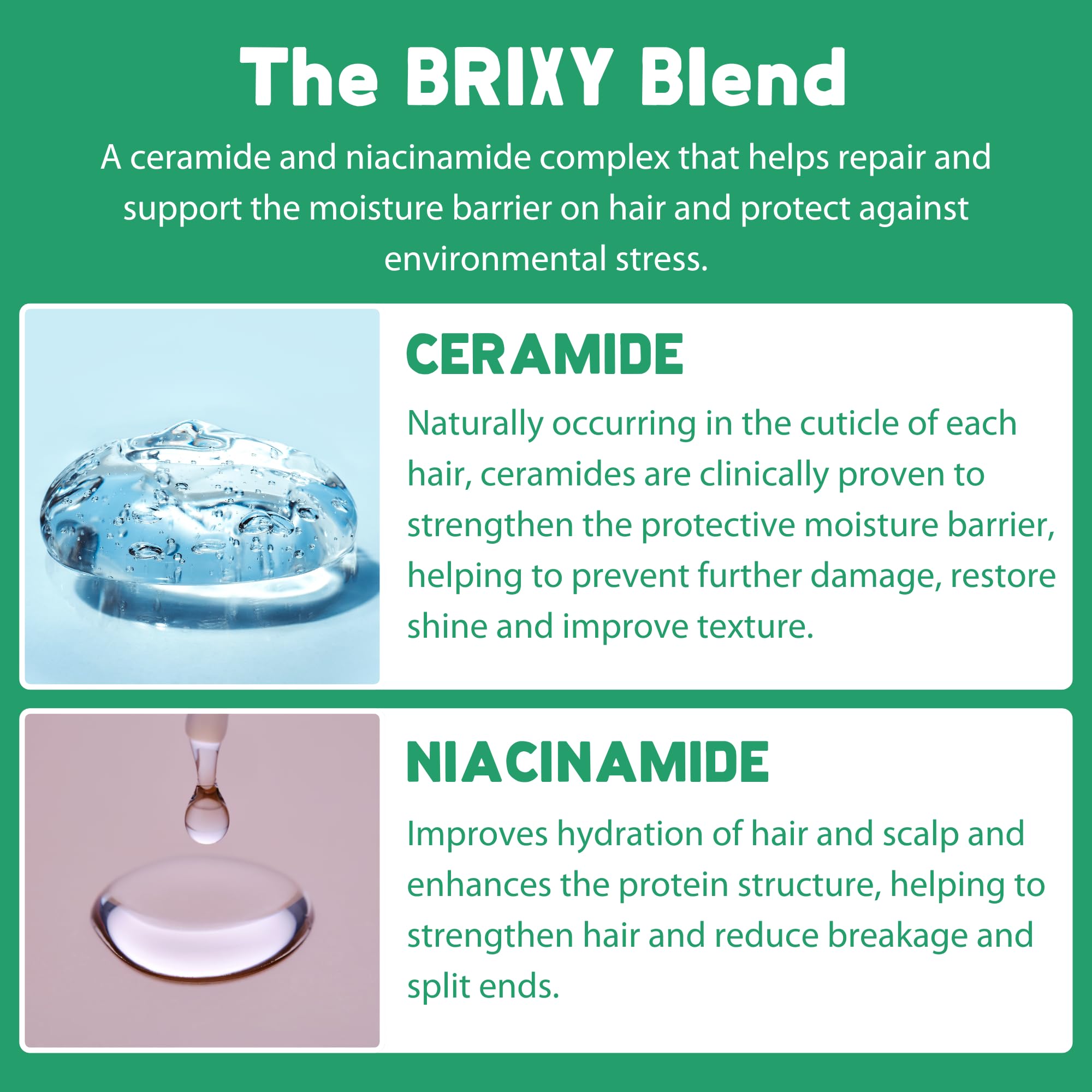 BRIXY - Conditioner Bar - Mint Eucalyptus (113g 6)