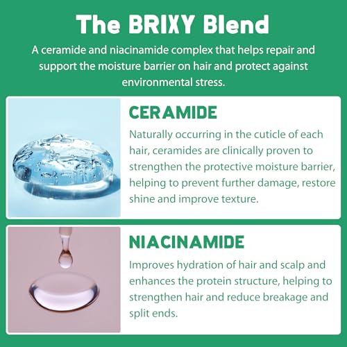 BRIXY - Shampoo Bar - Mint Eucalyptus (113g 6)