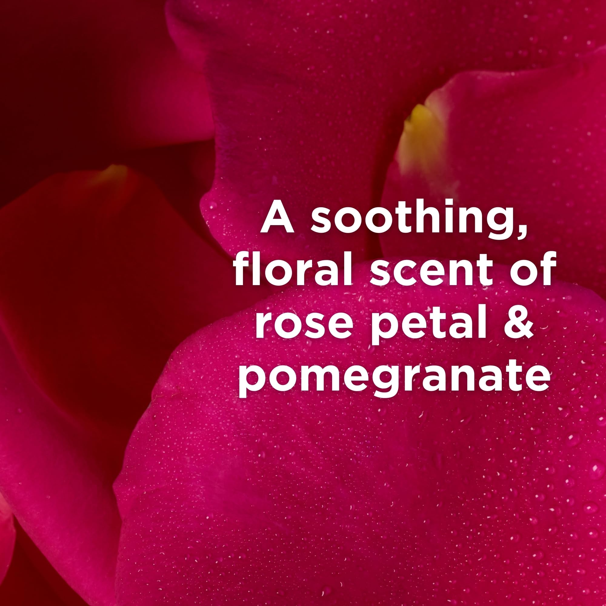 Andalou Naturals - 1000 Roses SOOTHING Body Lotion (946ml 6)