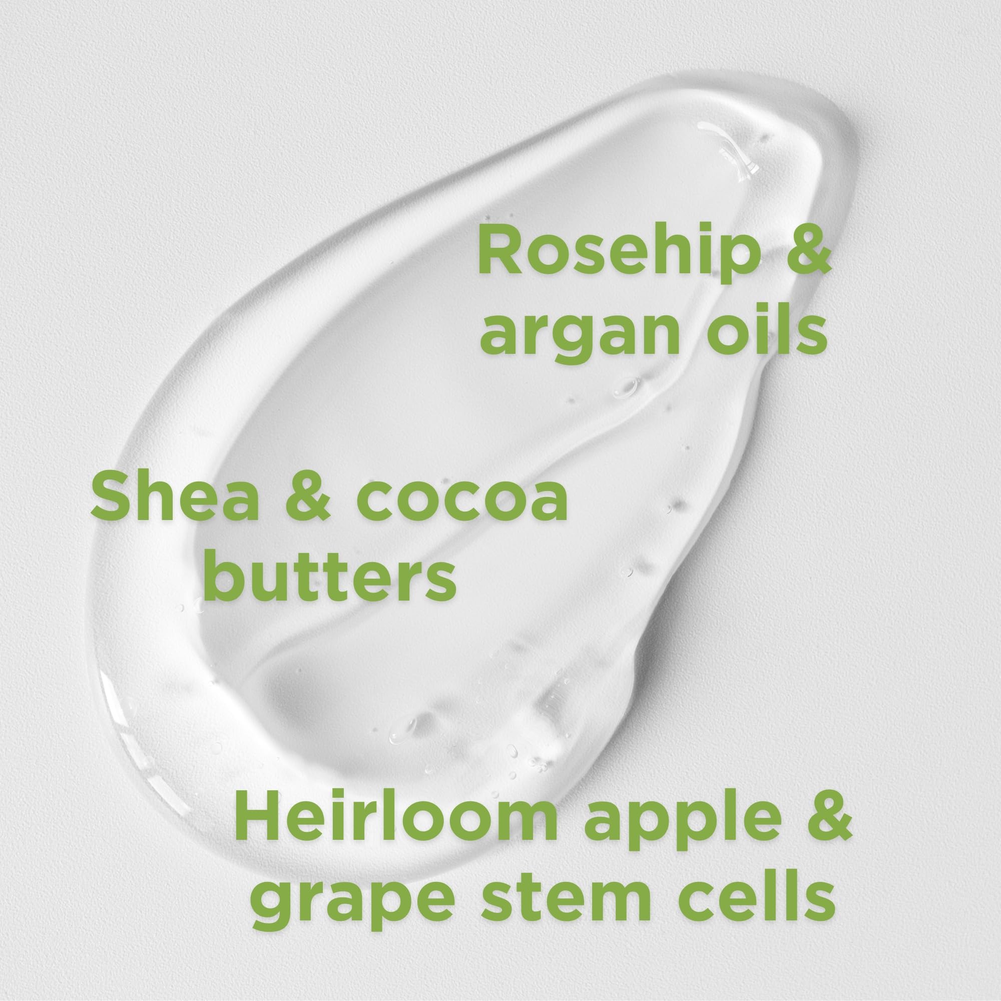 Andalou Naturals - Citrus Sunflower Body Lotion (236ml 6)