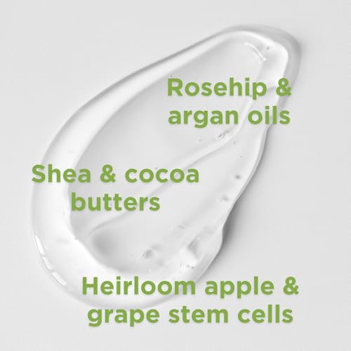 Andalou Naturals - Citrus Sunflower Body Lotion (236ml 6)