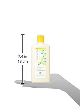 Andalou Naturals - Conditioner, 1000 Roses Color Care (340ml 6)