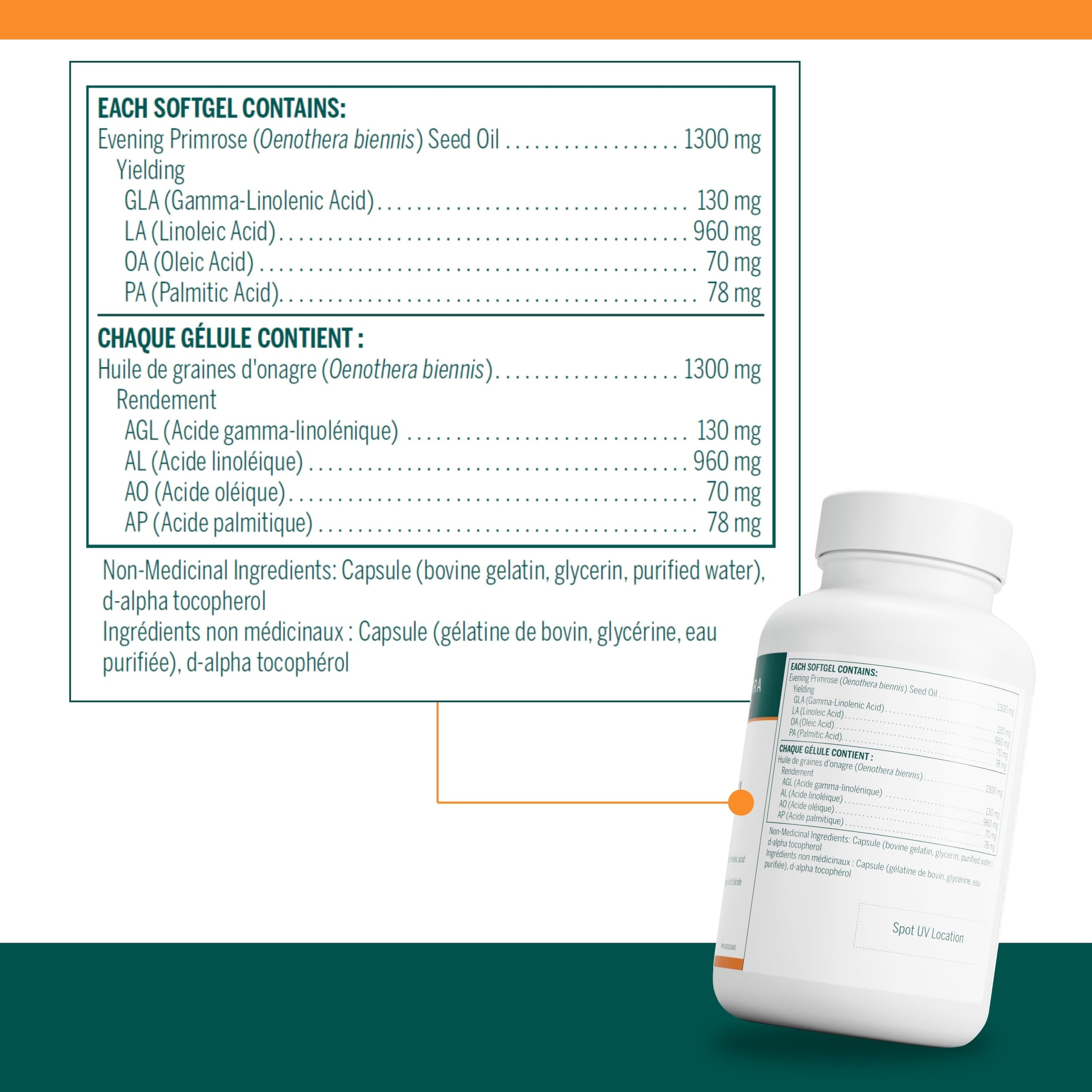 Genestra Brands - GLA 130 Primrose Oil (90sg 12)