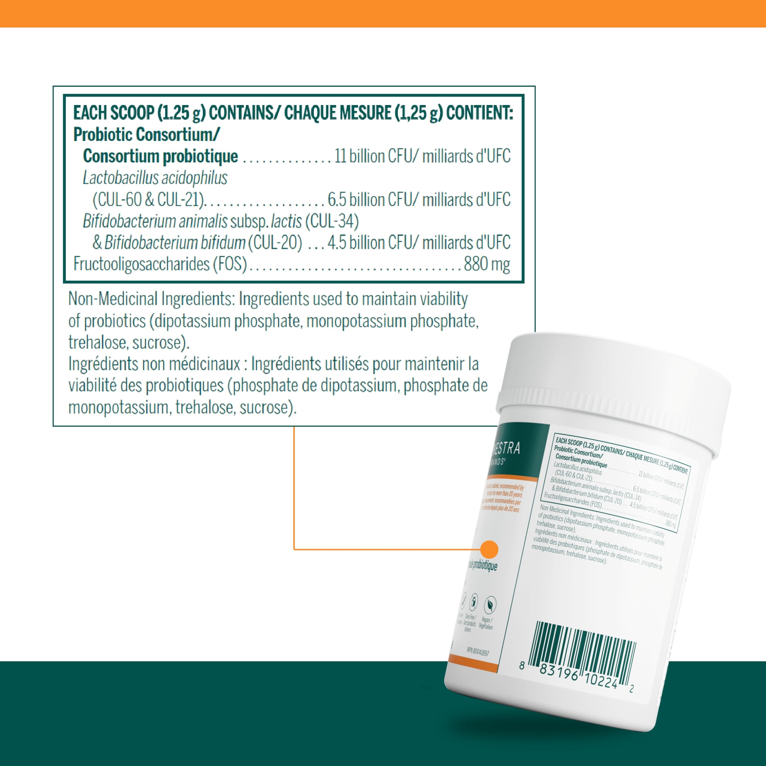 Genestra Brands - HMF Powder (75g 90)