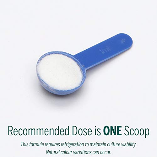 Genestra Brands - HMF Powder (75g 90)