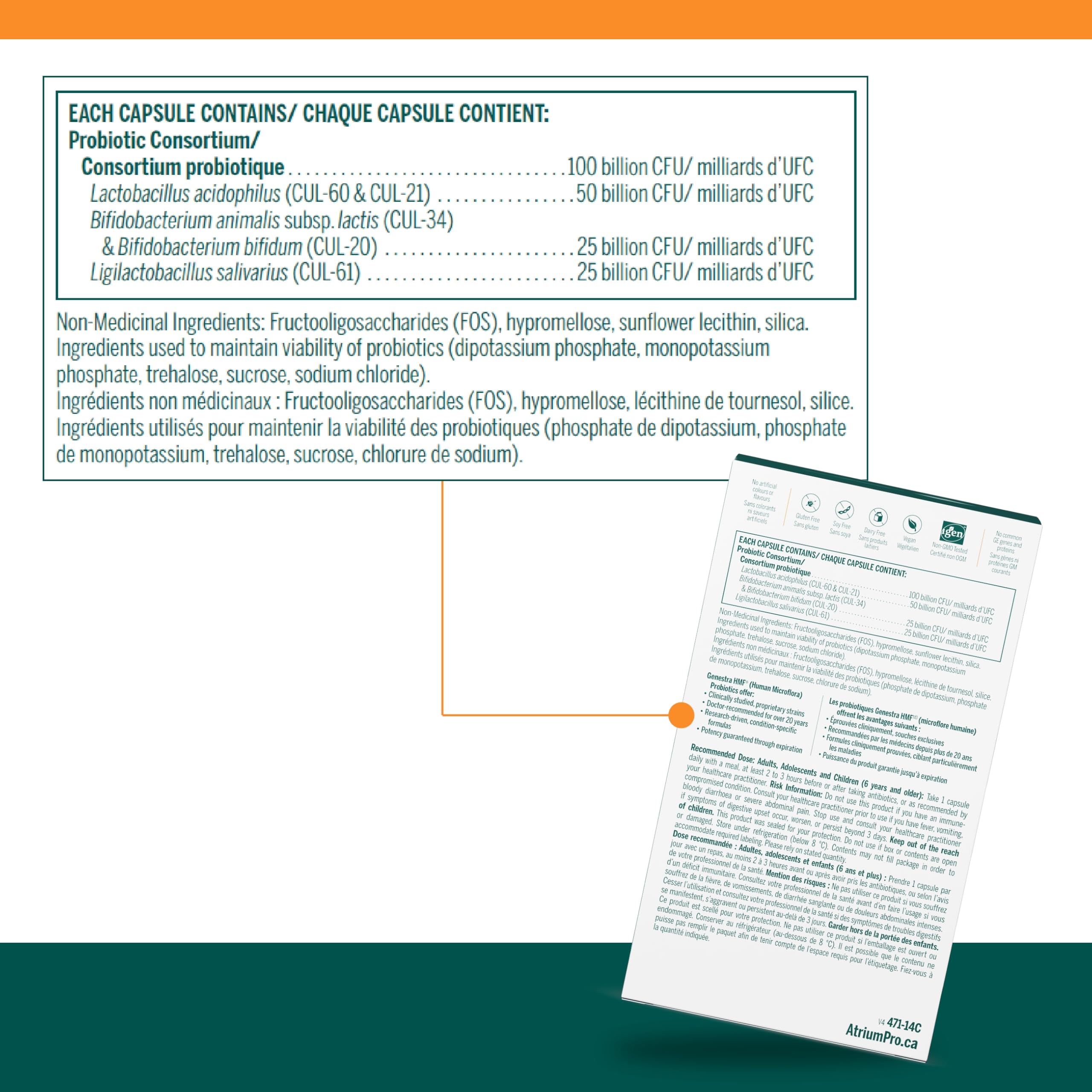 Genestra Brands - HMF Antibiotic Care (14caps 270)