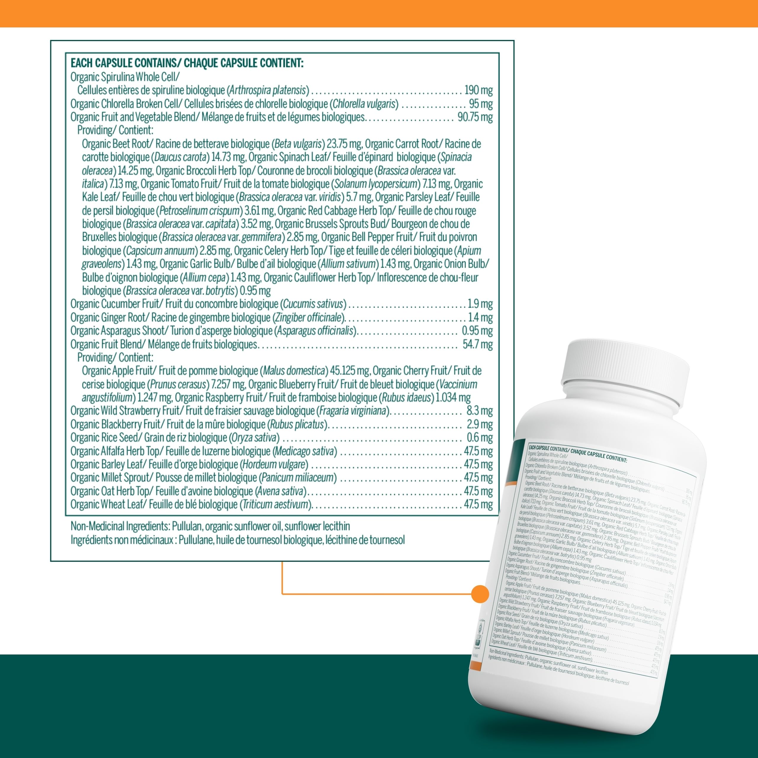 Genestra Brands - Phyto Greens Capsules (180caps 12)