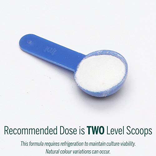 Genestra Brands - HMF Multi Strain Powder (60g 80)