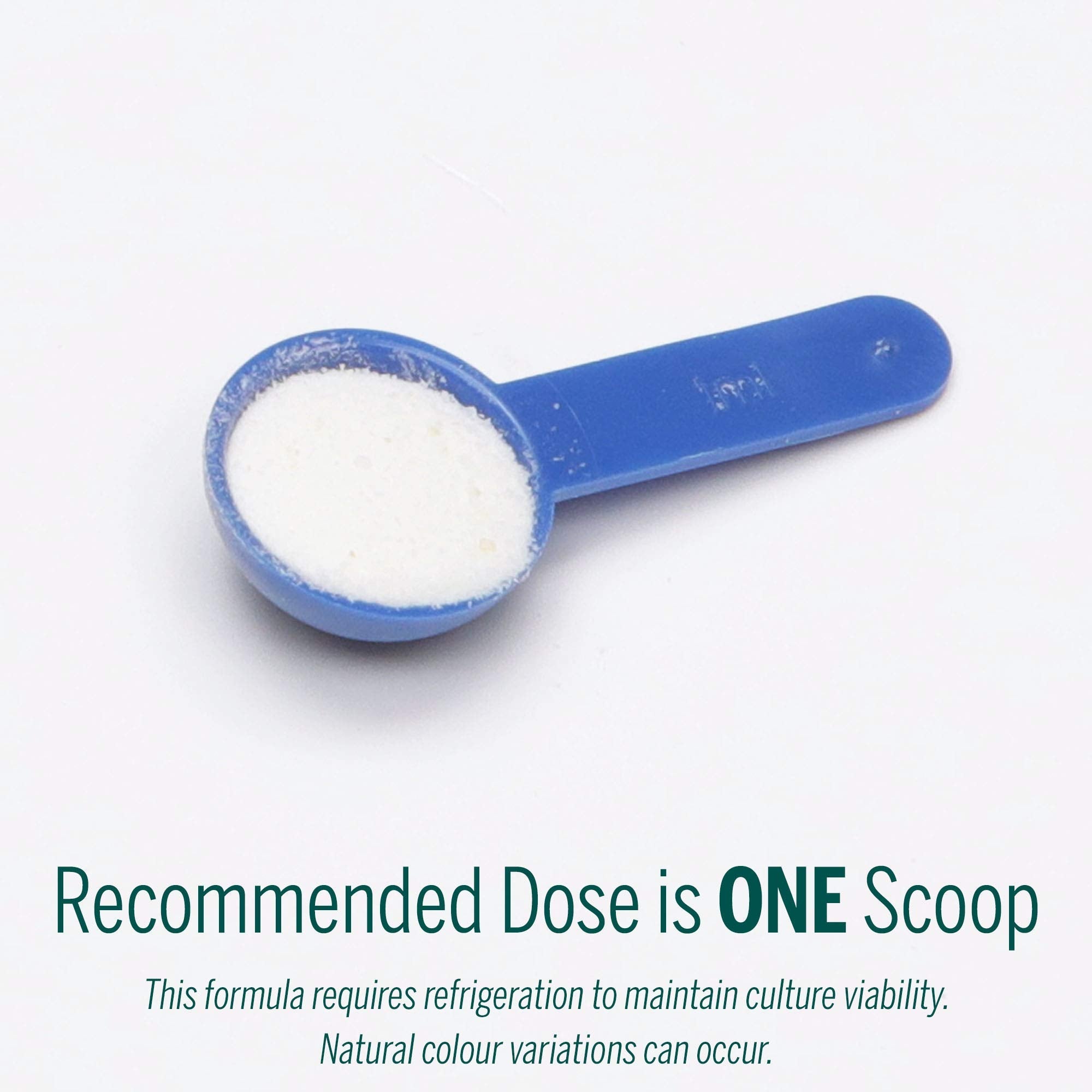 Genestra Brands - HMF Super Powder (138g 48)