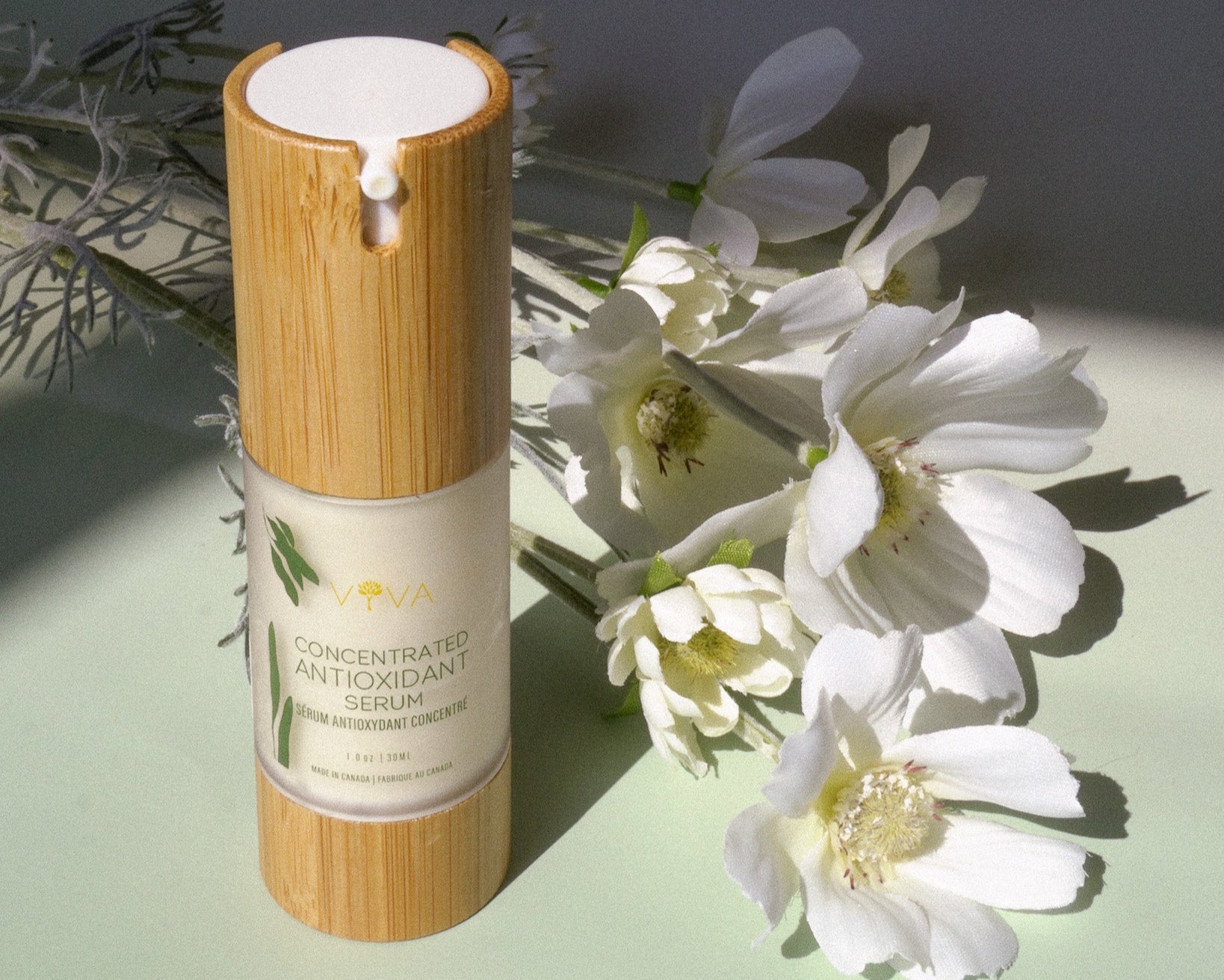 Concentrated Antioxidant Serum Anti-Aging Face Serum with DMAE & MSM