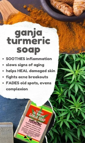 Blessings All-Natural Hemp Turmeric Face & Body Bar – Soothing, Exfoliating & Antioxidant-Rich Cleanser