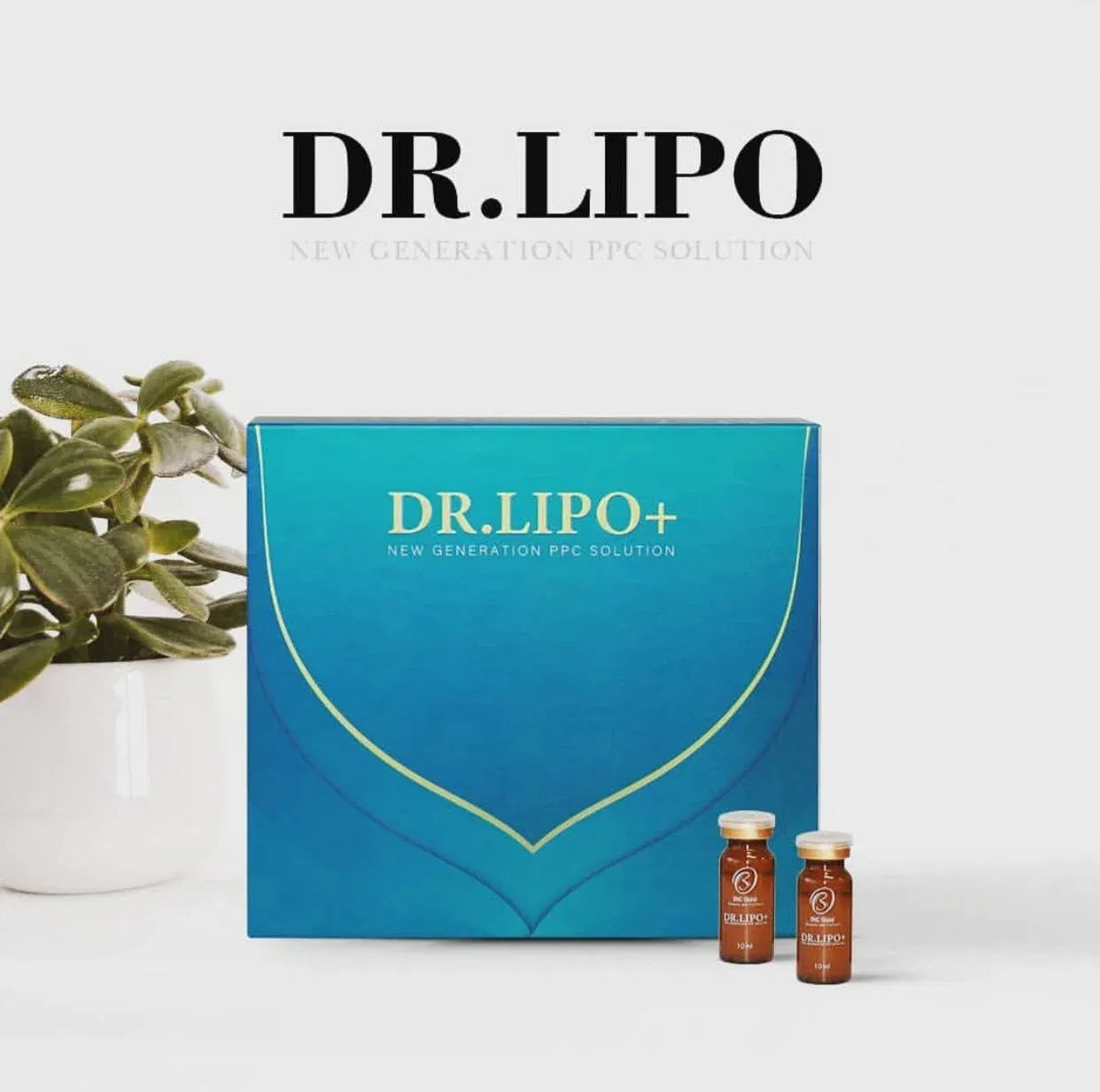 Korea Prime Dr. Lipo+ Fat Dissolving Solution 5ml Slim Injection – PPC Lipolysis for Weight Management