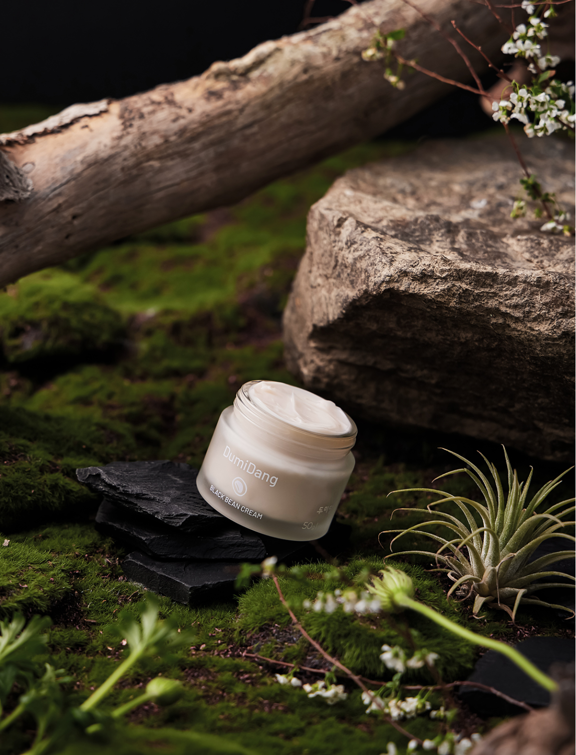 DumiDang Black Bean Cream (50g) | Elasticity-Boosting & Hydrating Facial Moisturizer