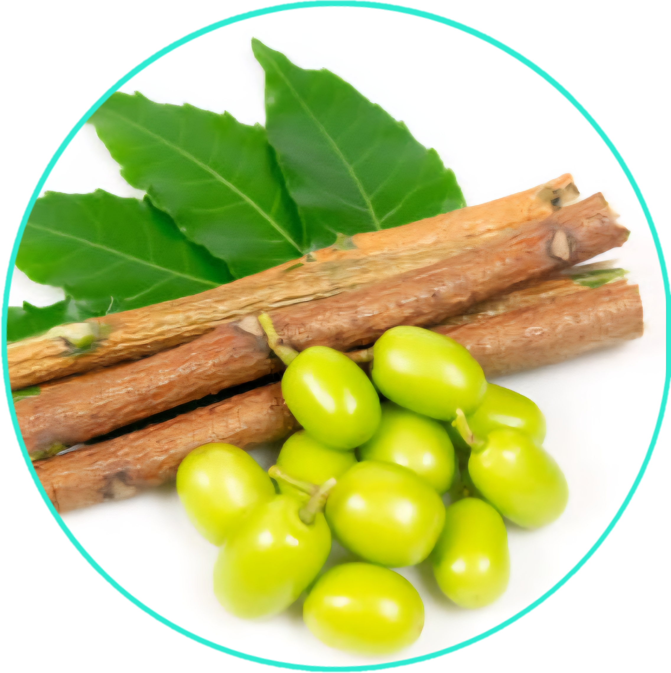 All Natural Healing Skin Butter