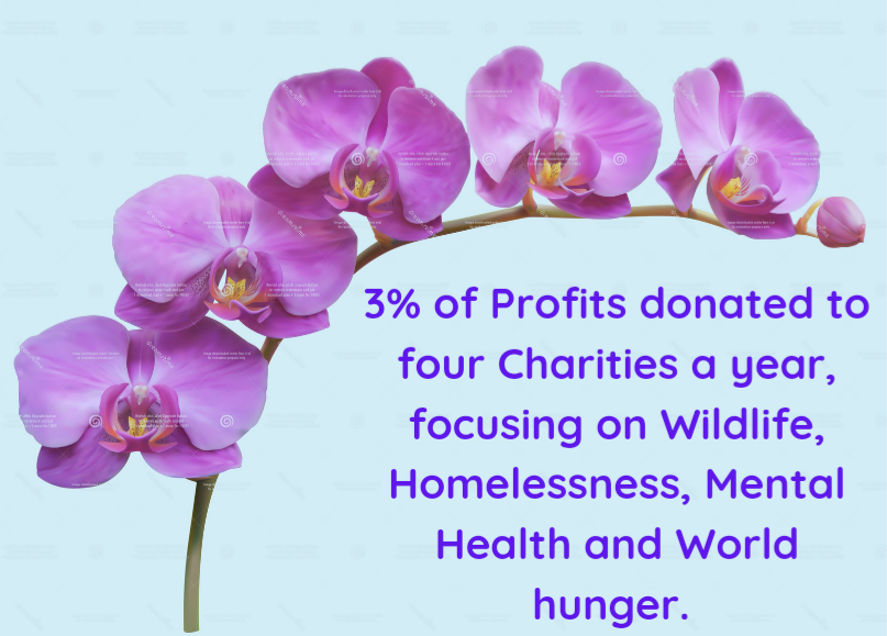 Organic Shoe Powder & Foot Mask – Antifungal & Soothing Care for Athlete’s Foot-Prone Skin