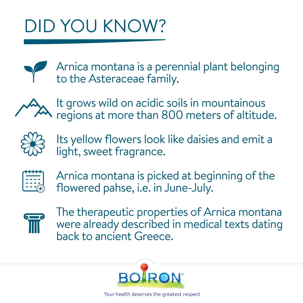 Boiron - Arnica Montana 200CH Blister (80ct 68)