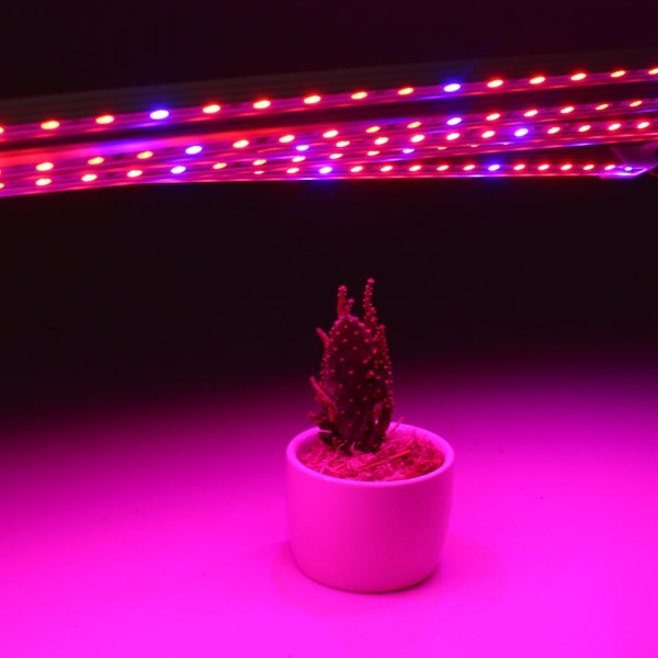 Skin Help Zone Non-waterproof  LED Strip Light  Power Adapter for Grow Plant Garden