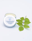 Nose Balm for Dogs Soothing and Nourishing Paw Care