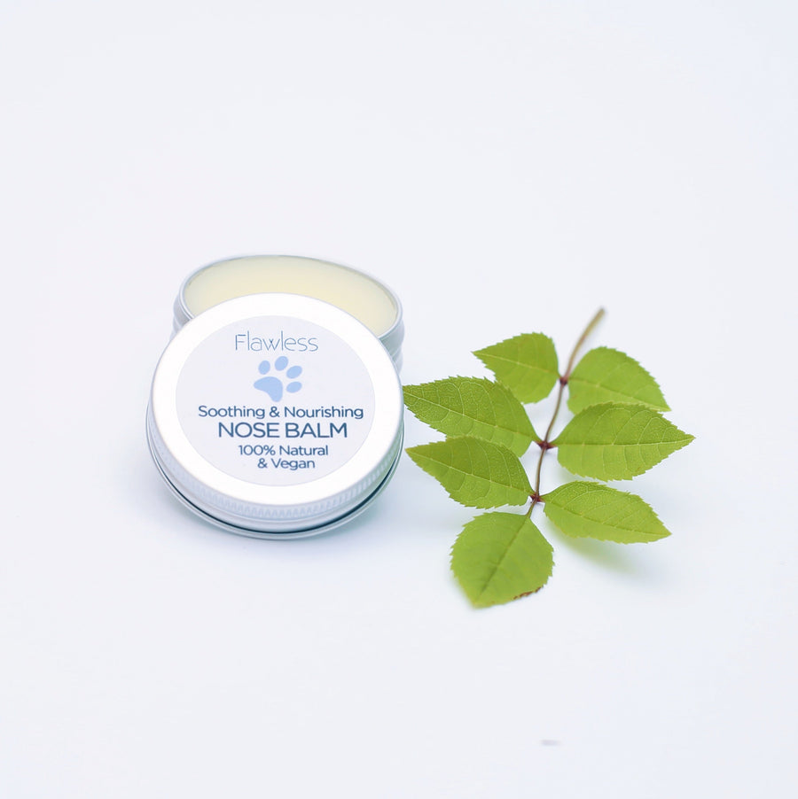 Nose Balm for Dogs Soothing and Nourishing Paw Care